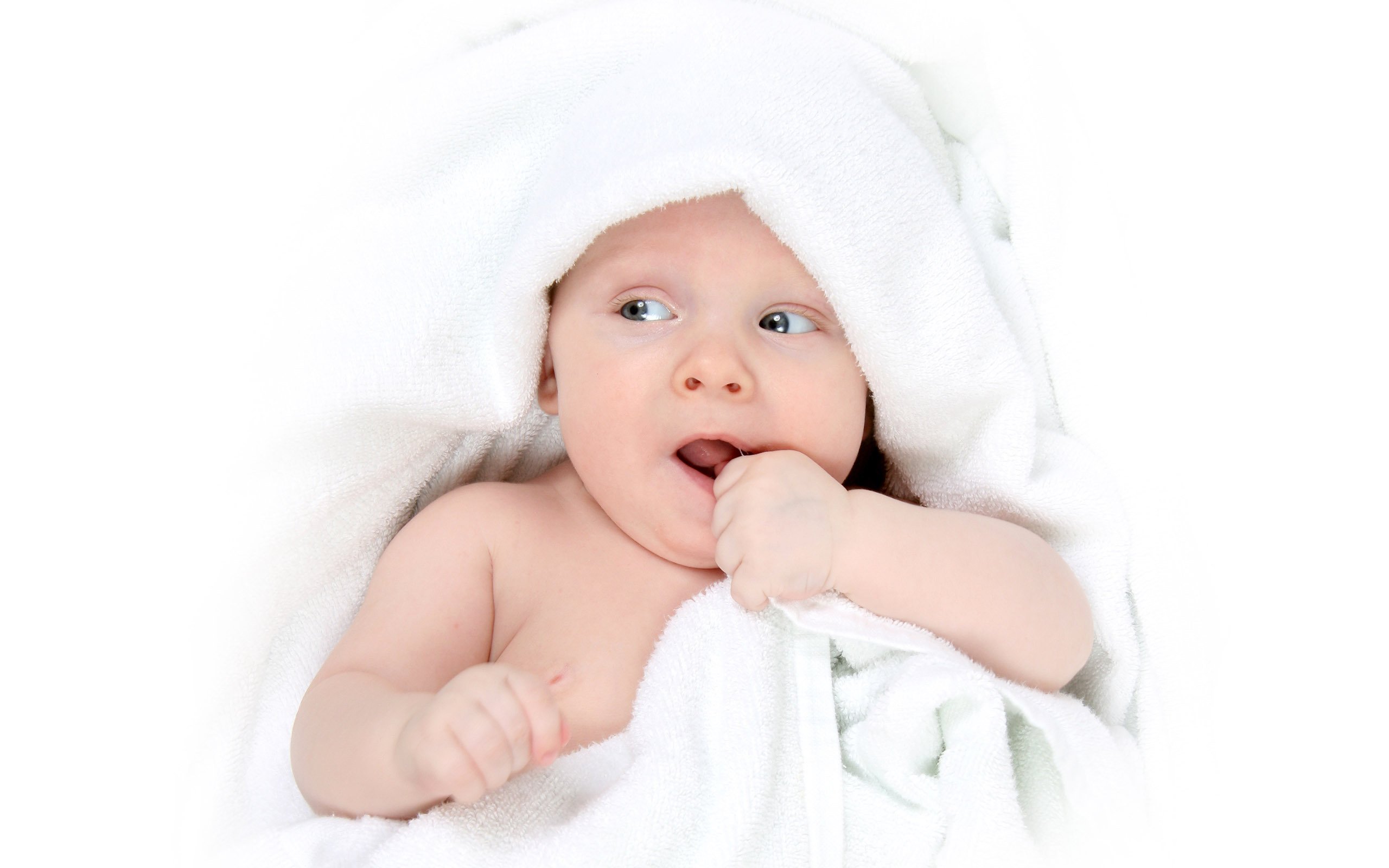 阜阳试管供卵试管婴儿第二代的成功率